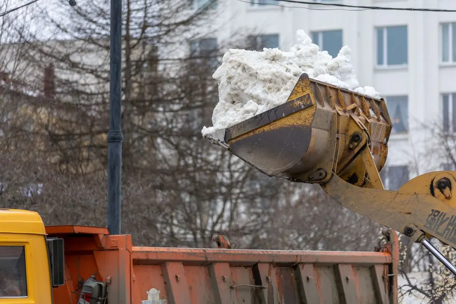 Spray foam removal near me for Halifax homes